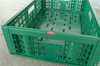600x400x170mm Green plastic collapsible crate ad vegetabilis et fructus repono