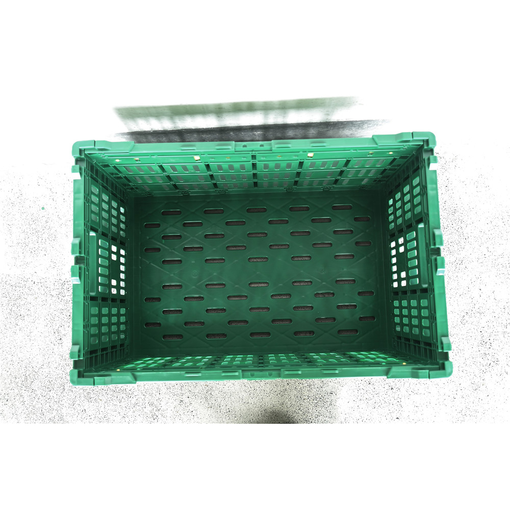 600x500x340mm Green plastic collapsible crate enim vegetabilis et fructus repono