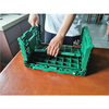 400x300x220mm Green plastic collapsible crate ad vegetabilis et fructus repono