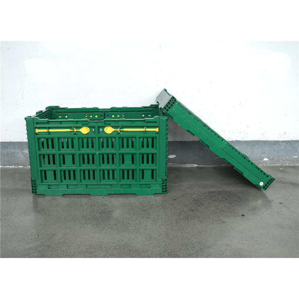 600x500x340mm Green plastic collapsible crate enim vegetabilis et fructus repono