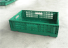 600x400x170mm Green plastic collapsible crate ad vegetabilis et fructus repono