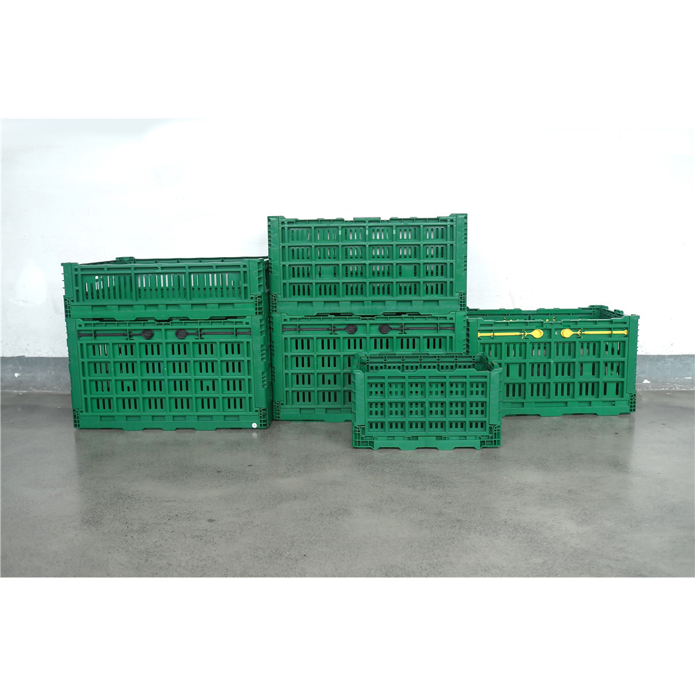 600x500x340mm Green plastic collapsible crate enim vegetabilis et fructus repono