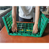 600x500x340mm Green plastic collapsible crate enim vegetabilis et fructus repono