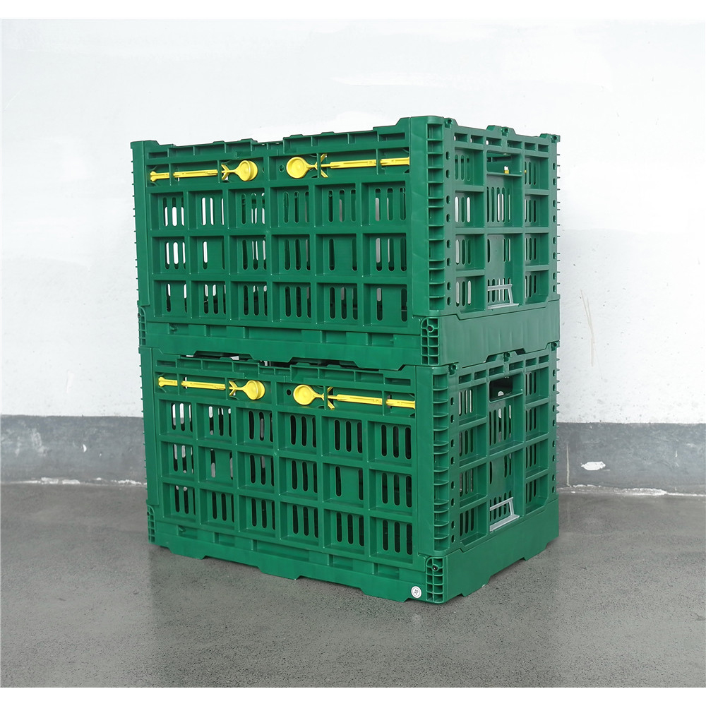600x500x340mm Green plastic collapsible crate enim vegetabilis et fructus repono